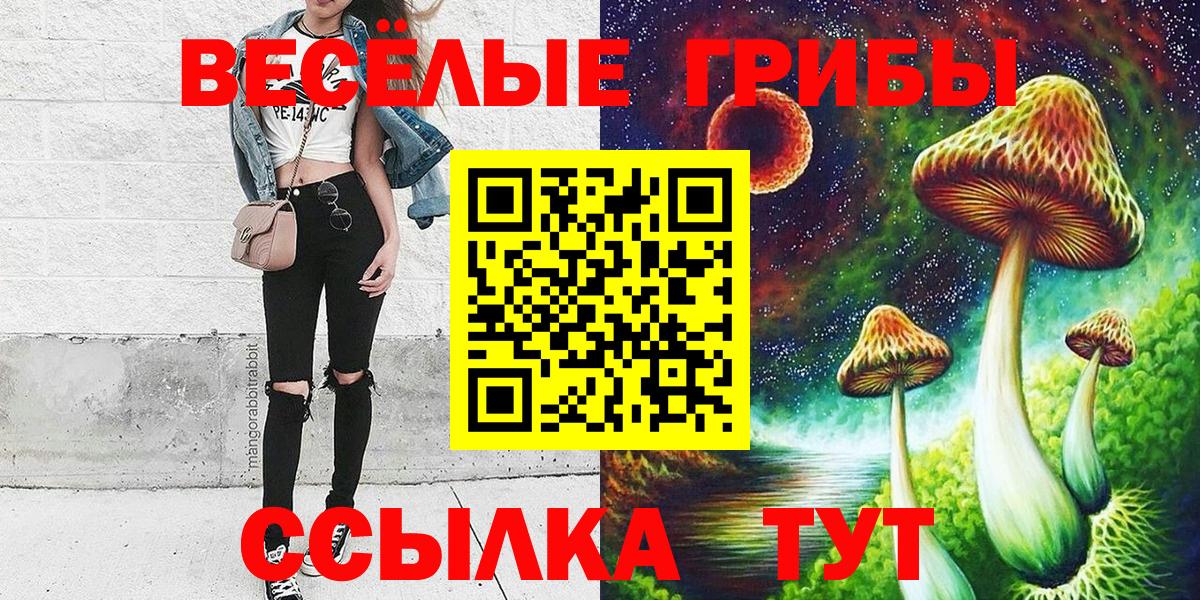 наркота  Вход с VPN  Псилоцибиновые грибы мицелий  Десногорск  Галлюциногенные грибы GOLDEN TEACHER 